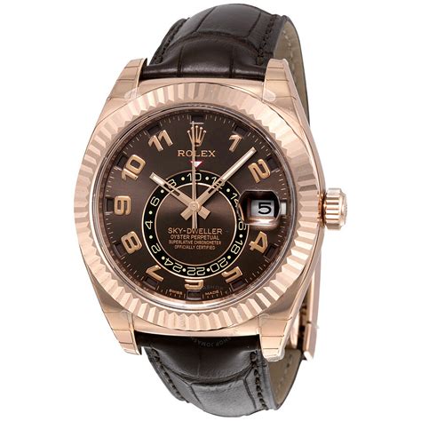 rolex sky-dweller brown|rolex sky dweller for sale.